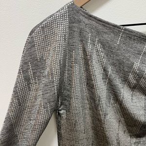 Kay Celine Silver Metallic top. Size L.